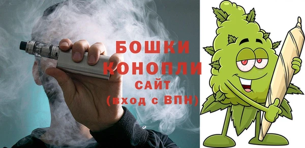 дживик Вязьма